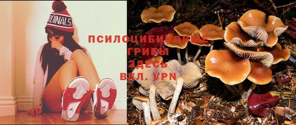 mdpv Куйбышев