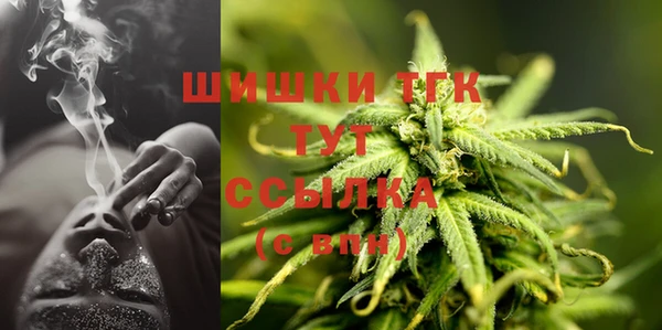 ГАЛЛЮЦИНОГЕННЫЕ ГРИБЫ Сафоново