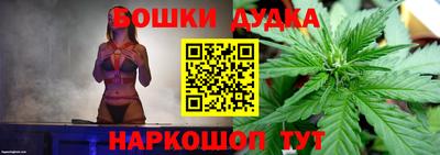 сатива Комсомольск-на-Амуре