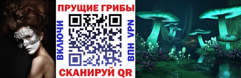 Псилоцибиновые грибы Cubensis  Феодосия 