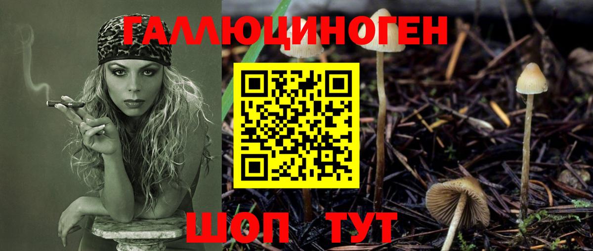 Галлюциногенные грибы MAGIC MUSHROOMS Феодосия