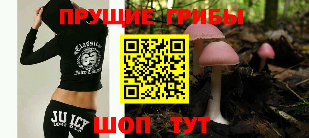 Феодосия  Псилоцибиновые грибы ЛСД  Вход с VPN 